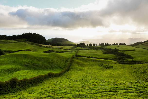Gyönyörű táj táj az Azori-szigeteken Portugália. Trópusi természet Sao Miguel-szigeten, Azori-szigeteken.  - Fotó, kép
