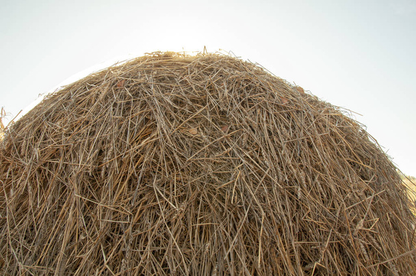 Hay background. Foin dans le village texture de gros plan
 - Photo, image