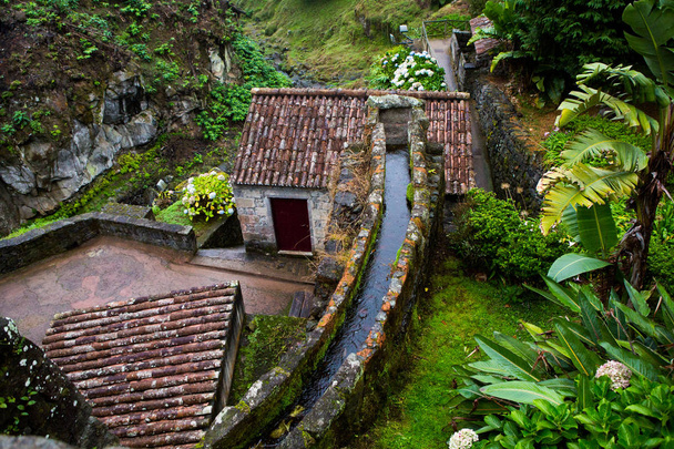 Пейзажи на Азорских островах в Португалии. Тропическая природа на острове Сан-Мигель.  - Фото, изображение