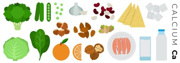 Vitamin Calcium foods vector flat icons set. - Vector, Image