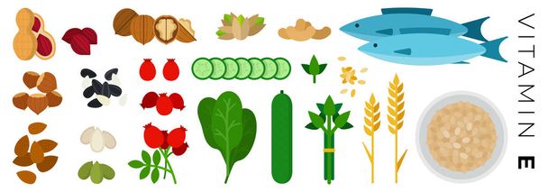 Vitamina E alimentos vector iconos planos conjunto con frutos secos, pescado
. - Vector, imagen