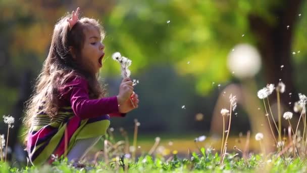 Schattig klein meisje dat paardebloemen blaast in het herfstpark. Wensen, dromen, speeltijd - Video