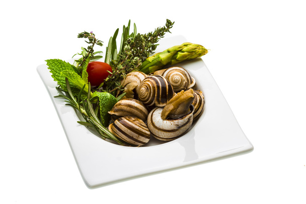 Escargot met asperges - Fotoğraf, Görsel