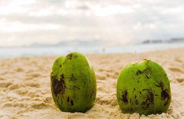 Two fresh coconuts on the beach in a resort city with sea ocean. - Photo, Image
