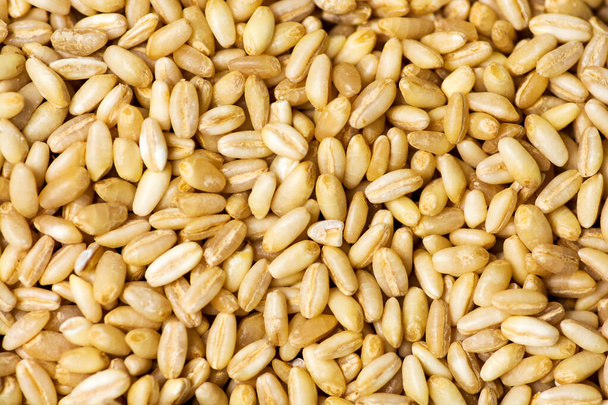 Pšeničná zrna pozadí vzor - Fotografie, Obrázek