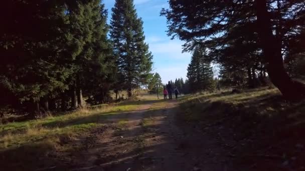 Mother with two daughters hiking in nature - Záběry, video