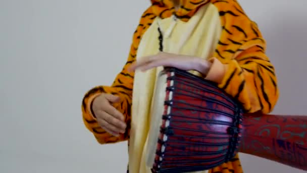 manos de una mujer jugando al djembe con ropa de tigre. maestra para los jóvenes vestida para la clase de educación musical divertida. Tiro profesional 4K de manos móviles sobre fondo gris blanco
. - Metraje, vídeo