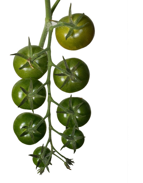 Ripening green tomatoes - Photo, Image