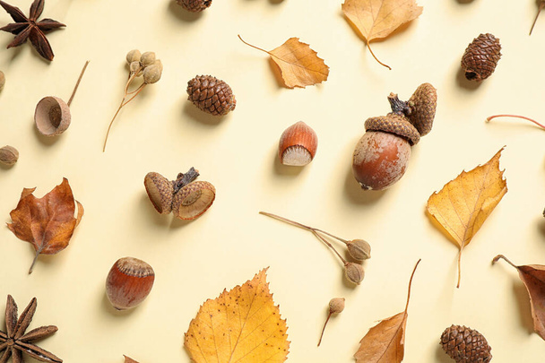 Beautiful composition with autumn leaves on beige background, flat lay - Foto, afbeelding