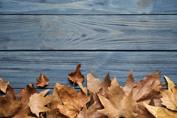 Плоска композиція з осіннім листям на синьому дерев'яному фоні. Простір для тексту
 - Фото, зображення