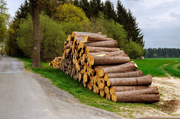 Op het gras bij de weg ligt een stapel houten stammen. Het probleem van de ontbossing. Ecologisch probleem. - Foto, afbeelding