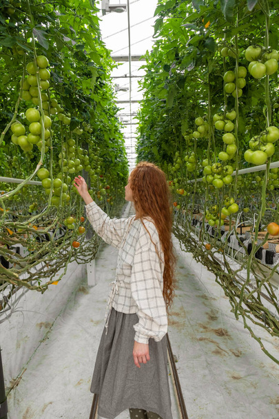 Bilim adamı bitkileri teftiş ediyor. Serada kadın tarım uzmanı. Bahçe Merkezinde Çalışan Genç Bir Kadının Portresi. Kadın bilim adamı - Fotoğraf, Görsel