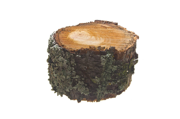 firewood isolated on white background - Photo, Image