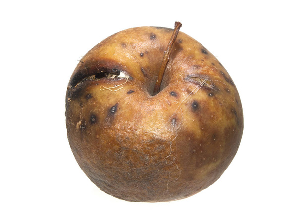 manzana podrida aislada sobre fondo blanco - Foto, imagen