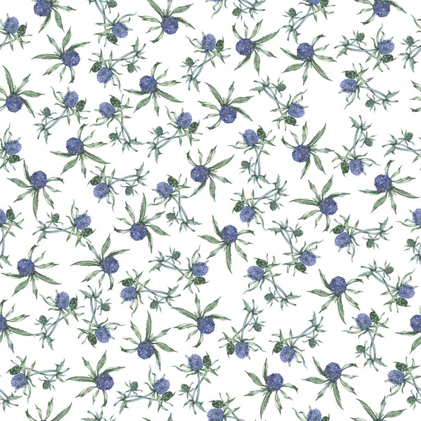 Seamless pattern with wild summer fewer-weed flowers on white background. Hand drawn watercolor illustration. - 写真・画像