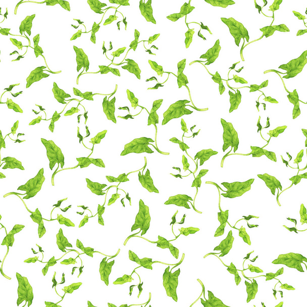 Seamless pattern with wild summer green leaves on white background. Hand drawn watercolor illustration. - Foto, afbeelding