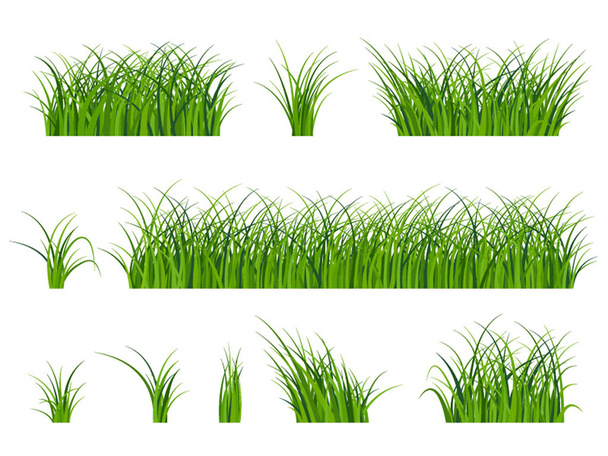 白いベクトルに隔離された美しい緑の草の断片 - ベクター画像