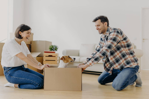 Funny young woman and man have fun during relocation, pose on floor with dog in cardboard box, just moved into apartment, dressed in domestic clothes, sofa and pile of containers in background - Photo, Image