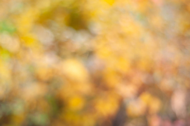 Homályos őszi háttér bokeh hatással. Az őszi levelek elmosódott lágy képe.  - Fotó, kép