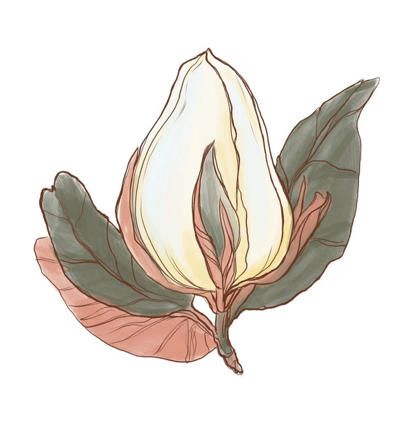 ψηφιακή απεικόνιση του μπουμπούκι λευκό λουλούδι με φύλλα - Φωτογραφία, εικόνα