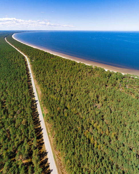 Aerial view of green forest and a road captured from above during bright sunny day - Fotografie, Obrázek
