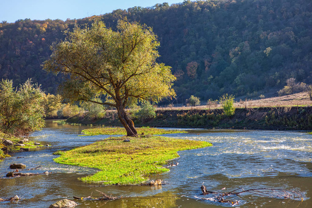 isolotto verde sul piccolo fiume
 - Foto, immagini