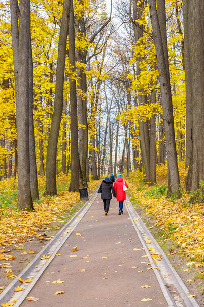 Moscou, Rússia - 16 de outubro de 2019: Pessoas andando no beco do outono contra árvores com folhas amarelas no Parque Tsaritsyno, em Moscou, no dia ensolarado do outono
 - Foto, Imagem