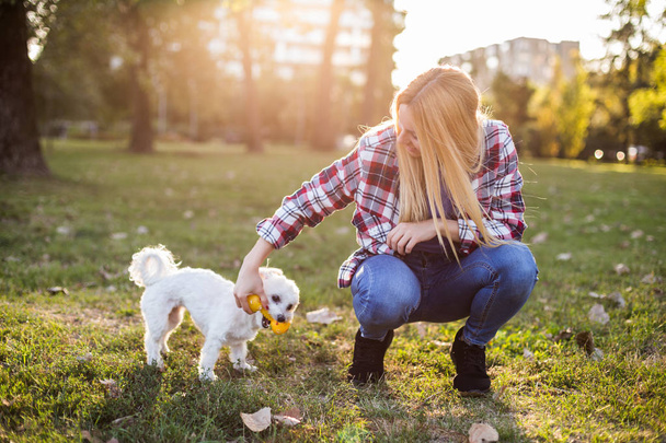 Beautiful woman is playing with her Maltese dog in the park. - Fotoğraf, Görsel