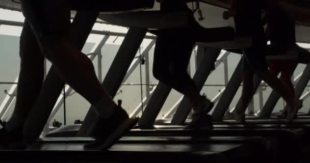 Füße laufen auf Laufbändern im Fitnessstudio. - Filmmaterial, Video