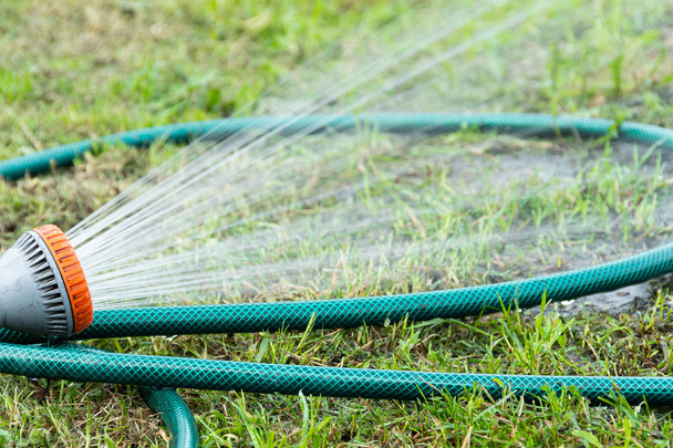 Садовый зеленый шланг для полива газона
 - Фото, изображение