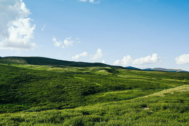 Colinas verdes suaves. Vale da montanha para pastagem com encostas macias cobertas com grama verde
 - Foto, Imagem