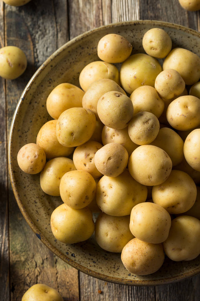 Organic White Baby Potatoes - Foto, afbeelding