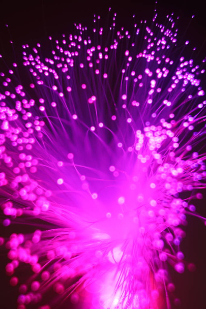 Colored whims of a panicle of a lamp from a bundle of optical fiber threads. - 写真・画像