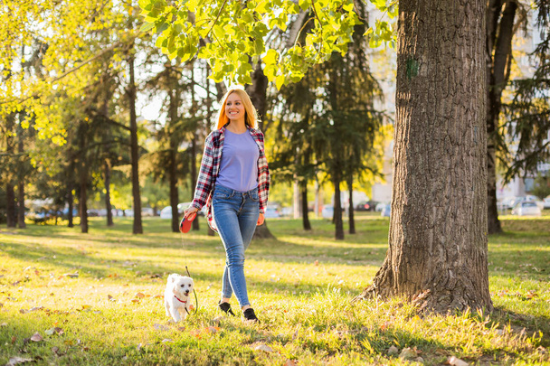 Beautiful woman walking with her Maltese dog in the park. - Zdjęcie, obraz