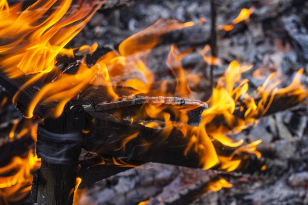 καμένο φράχτη γκρο πλαν στις στάχτες μιας μεγάλης φωτιάς, σε μια θολή  - Φωτογραφία, εικόνα