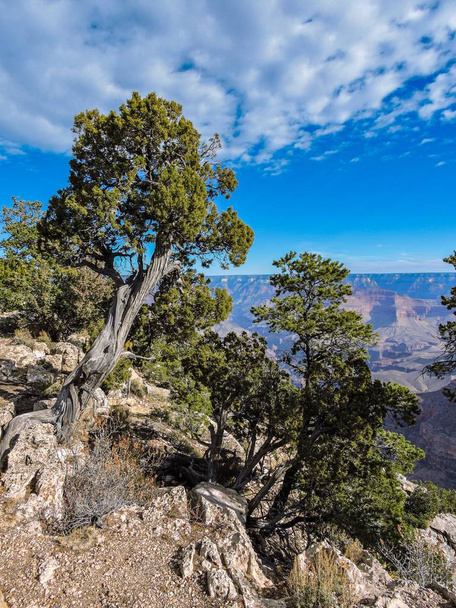 Fondo azul cielo. Paisaje natural. Hermoso paisaje natural panorama. Parque Nacional del Gran Cañón, Arizona, EE.UU.
. - Foto, imagen