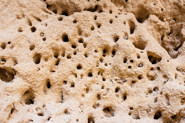 Gniazda mrówek w kopcu termitu piasku. - Zdjęcie, obraz