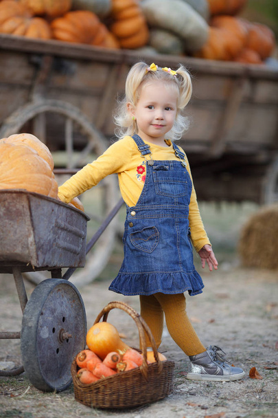 Child picking pumpkins at pumpkin patch. Little toddler girl playing among squash at farm market. Family time at Thanksgiving and Halloween.Little girl having fun on a tour of a pumpkin farm at autumn. Child sitting on largest pumpkin. - Photo, image