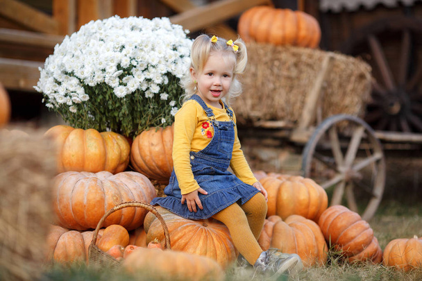 Child picking pumpkins at pumpkin patch. Little toddler girl playing among squash at farm market. Family time at Thanksgiving and Halloween.Little girl having fun on a tour of a pumpkin farm at autumn. Child sitting on largest pumpkin. - Fotografie, Obrázek