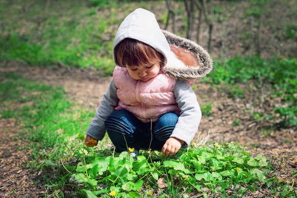 Κοριτσάκι με περιέργεια μελετά λουλούδια και γρασίδι στη φύση - Φωτογραφία, εικόνα