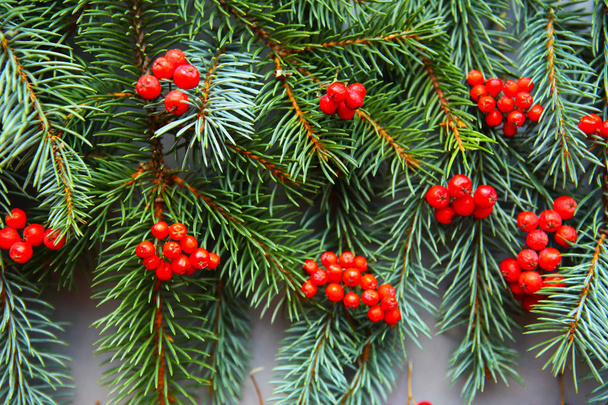 spruce branches with rowan berries, closeup, top view - Фото, изображение