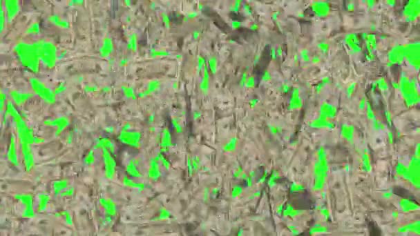 Écran Vert 20 Dollar Bills Pluie haute densité Effets Animation, Argent Pluie 4k animation en écran vert, Argent dollars effet pluie animation écran vert, 20 Dollar billets pluie tombante
 - Séquence, vidéo