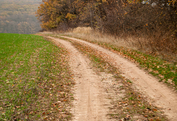 Kręta wiejska droga biegnąca przez pola i drzewa - Zdjęcie, obraz