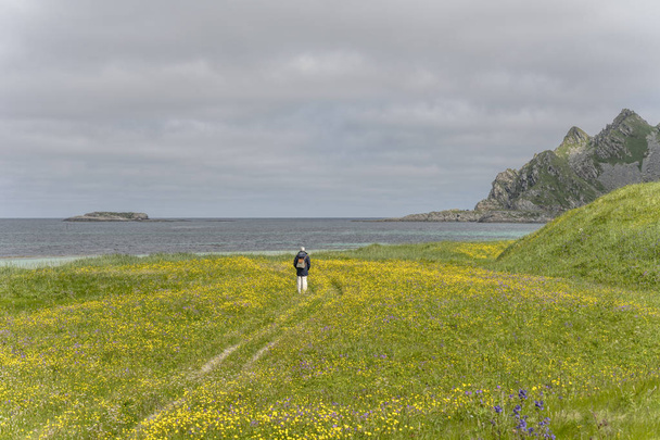 Wandern durch Blumen in Schach, bleik, Norwegen - Foto, Bild