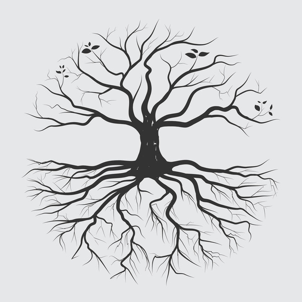 木の根の鉛筆のスケッチデザイン - ベクター画像