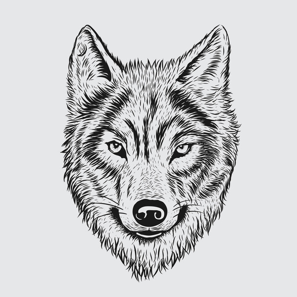 Χειροποίητα εικονογράφος λύκος σκίτσο τέχνη μολύβι - Διάνυσμα, εικόνα