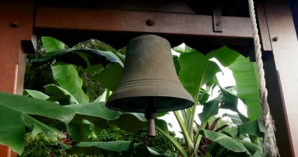 Antigua campana vintage de cobre y bronce al aire libre con marco de madera, hojas verdes y fondo orgánico. hermosa naturaleza fresca en el jardín de la iglesia con plantas naturales
 - Imágenes, Vídeo