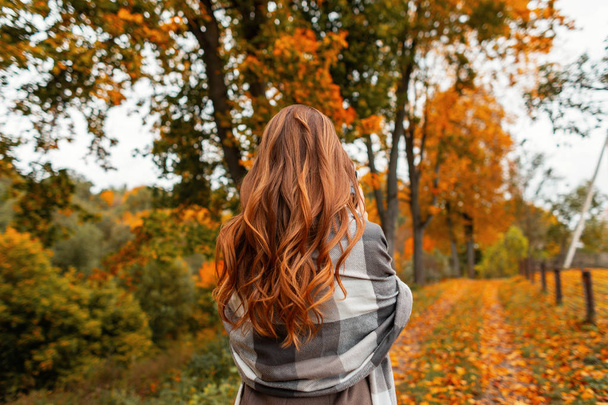 Die trendige junge Frau in stylischer Herbstkleidung genießt die herbstliche Landschaft im Park. Elegantes Mädchen Modell in einem modischen Mantel in einem gestrickten Vintage-Schal steht im Wald. Blick von hinten. - Foto, Bild