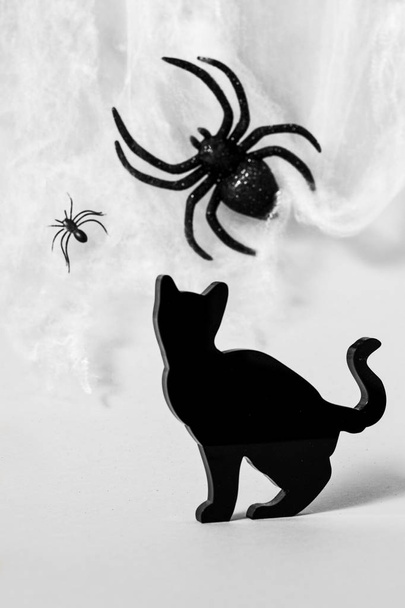 Sagoma di Halloween gatto nero su fondo bianco con tela ragni
 - Foto, immagini