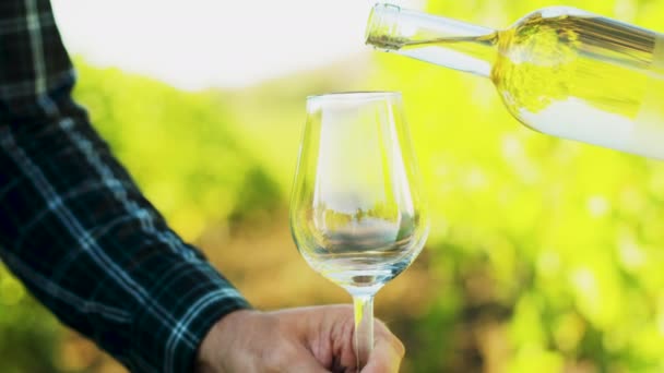 Verter vino blanco en una copa sobre un fondo de viñedo
 - Imágenes, Vídeo